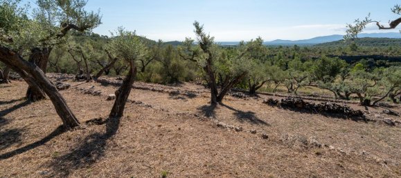 Terrain à Tarragona, Spain 48000m² No. 183407 14