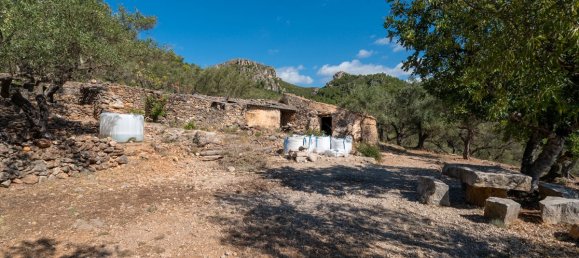 Terrain à Tarragona, Spain 48000m² No. 183407 31