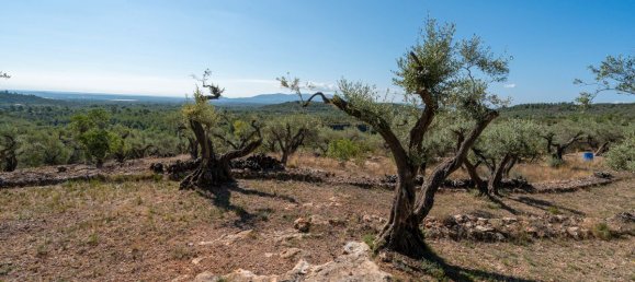 Terrain à Tarragona, Spain 48000m² No. 183407 11
