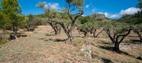 Terrain à Tarragona, Spain 48000m² No. 183407 20