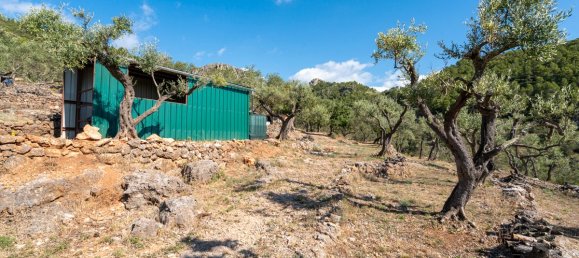 Terrain à Tarragona, Spain 48000m² No. 183407 8