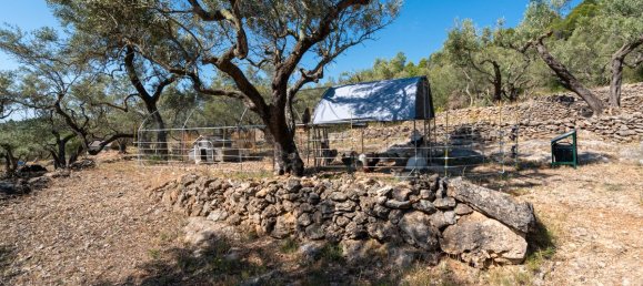 Terrain à Tarragona, Spain 48000m² No. 183407 25