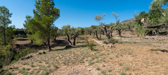 Terrain à Tarragona, Spain 48000m² No. 183407 21