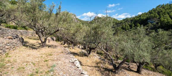 Terrain à Tarragona, Spain 48000m² No. 183407 29