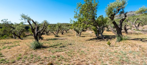 Terrain à Tarragona, Spain 48000m² No. 183407 22
