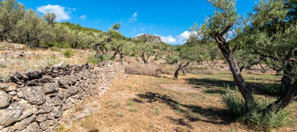 Terrain à Tarragona, Spain 48000m² No. 183407 18