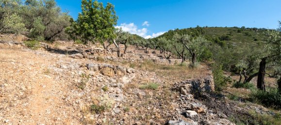 Terrain à Tarragona, Spain 48000m² No. 183407 15