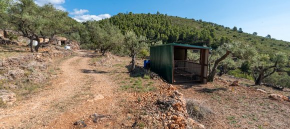 Terrain à Tarragona, Spain 48000m² No. 183407 9