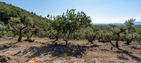 Terrain à Tarragona, Spain 48000m² No. 183407 13