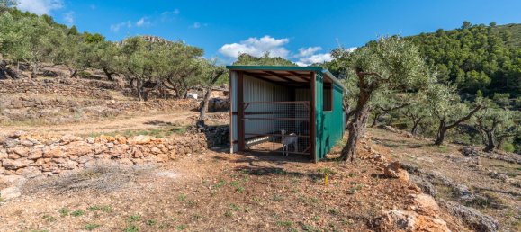 Terrain à Tarragona, Spain 48000m² No. 183407 10