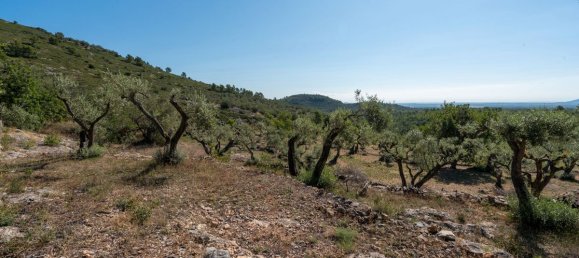 Terrain à Tarragona, Spain 48000m² No. 183407 23
