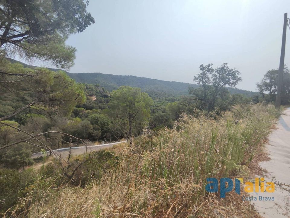  Land in Calonge, Spain No. 192285