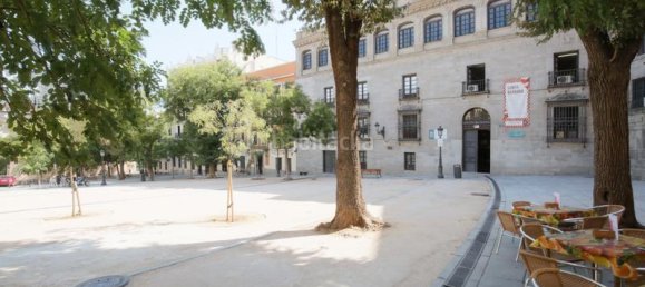 1 غرف نوم بانتهاوس في Madrid, Spain رقم 187129 13