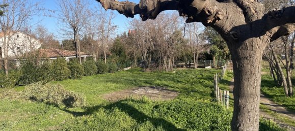 Edificio en Lucciana, France 480 m² No. 79831 2