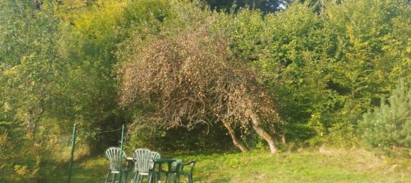 3-salle Maison à Mariasdorf, Austria No. 243263 6