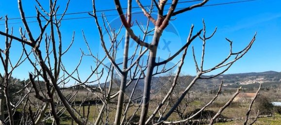 3 غرف نوم منزل في Seixo de Ansiaes, Portugal رقم 40844 2