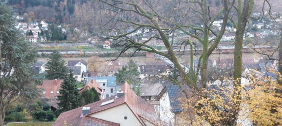 4 Schlafzimmer Haus in Heidelberg, Germany, Nr. 224756 5