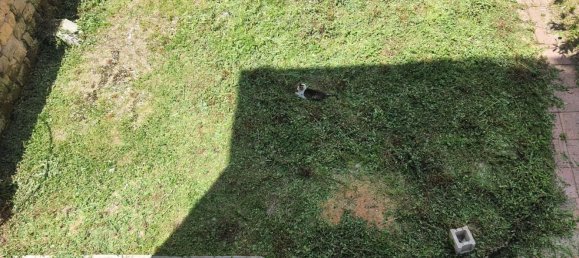 Квартира с 4 комнатами в Авеллино, Италия № 227631 21