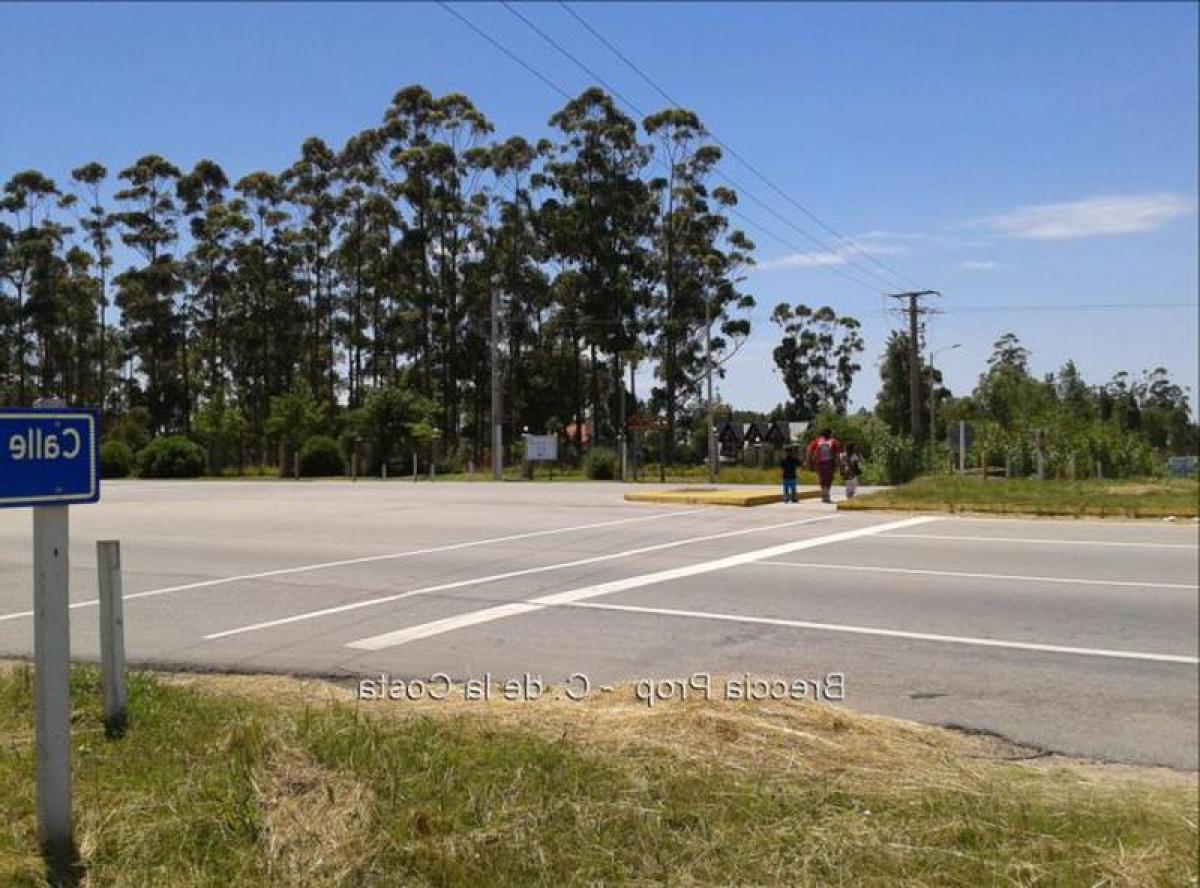  قطعة أرض في Canelones, Uruguay رقم 14811
