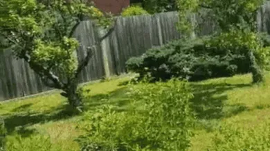  Land in Michelhausen, Austria No. 147277