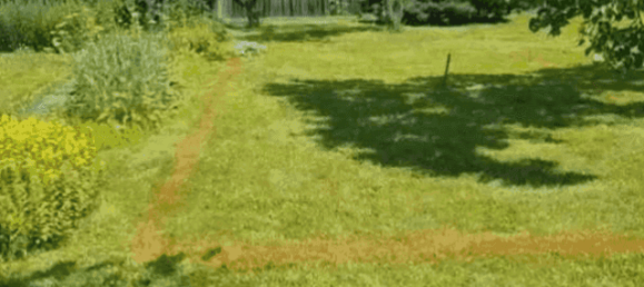  Land in Michelhausen, Austria No. 147277 2