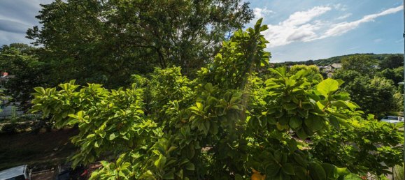 4 Schlafzimmer Villa in Klosterneuburg, Austria, Nr. 258843 22