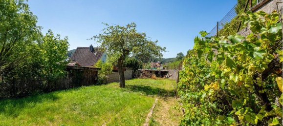 8 غرف نوم تاون هاوس في Sudwestpfalz, Germany رقم 320657 17