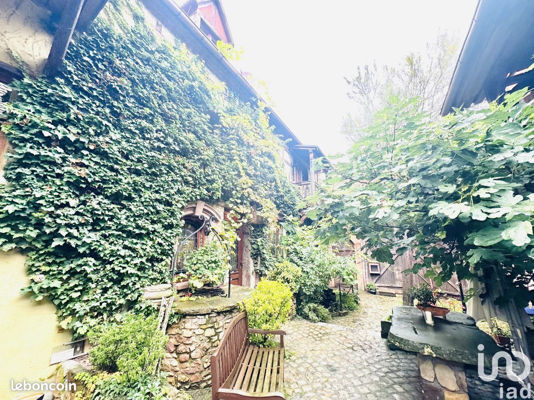 Дом с 15 спальнями в Бергхайм, Франция № 238264