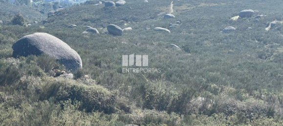 1160m² Land in Marco de Canaveses, Portugal No. 56143 13