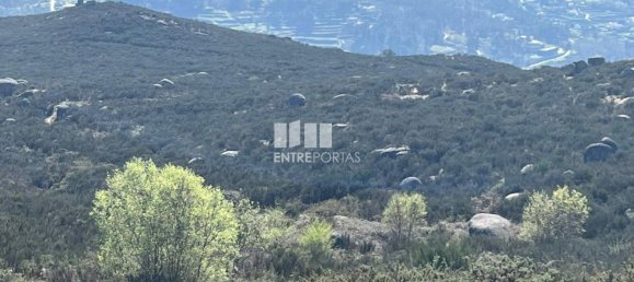 1160m² Land in Marco de Canaveses, Portugal No. 56143 26