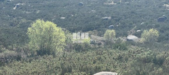 1160m² Land in Marco de Canaveses, Portugal No. 56143 18