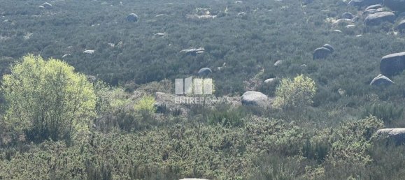 1160m² Land in Marco de Canaveses, Portugal No. 56143 16