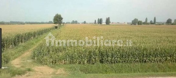 Grundstück in Cazzago San Martino, Italy 10000m², Nr. 264519 2