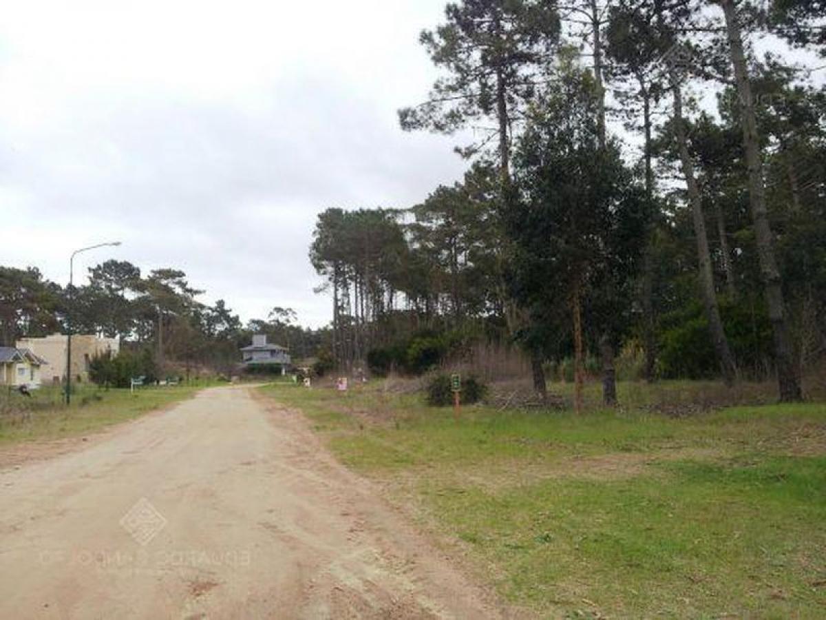 Terrain à Mar del Plata, Argentina No. 113420