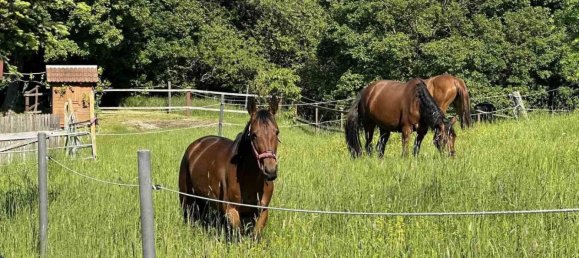 5 rooms House in Breitenfurt bei Wien, Austria No. 255897 4