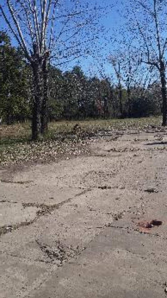  Land in Tigre, Argentina No. 38824