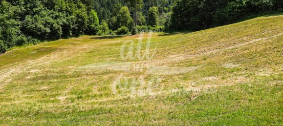  Land in Moosburg, Austria No. 131145 4