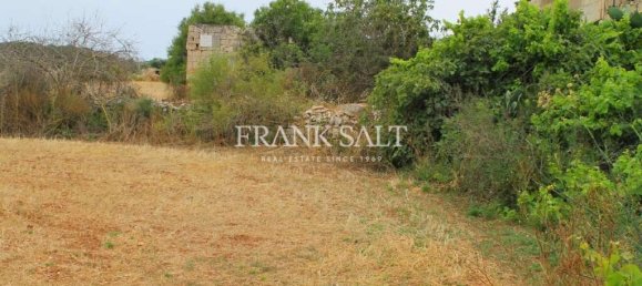 Terreno en Safi, Malta 2810 m² No. 2100 3