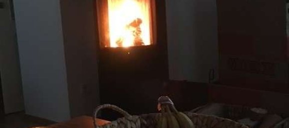 1 Schlafzimmer Wohnung in Augsburg, Germany, Nr. 56283 5