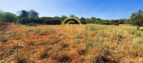 Terrain à Alte, Portugal 2620m² No. 39806 16