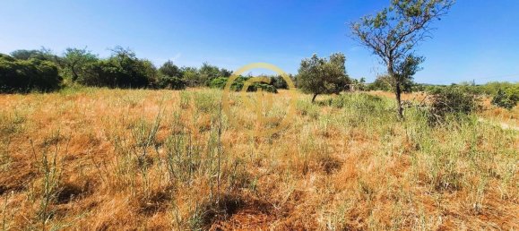 Terrain à Alte, Portugal 2620m² No. 39806 15