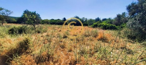 Terrain à Alte, Portugal 2620m² No. 39806 25