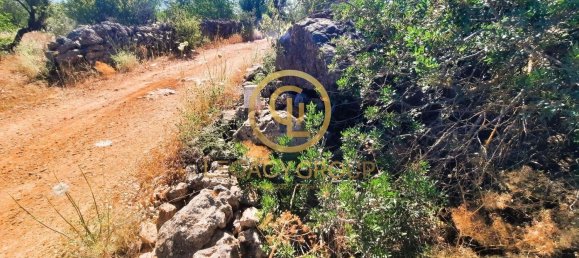 Terrain à Alte, Portugal 2620m² No. 39806 5