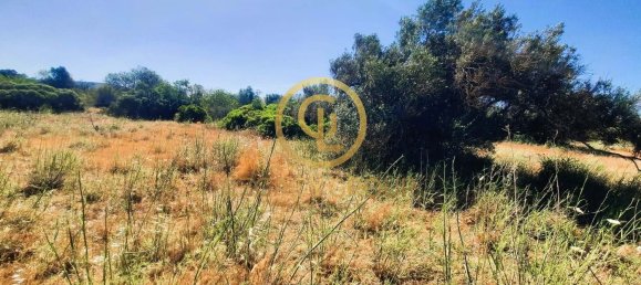 Terrain à Alte, Portugal 2620m² No. 39806 20