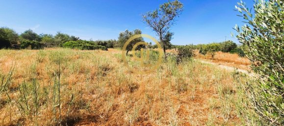 Terrain à Alte, Portugal 2620m² No. 39806 14