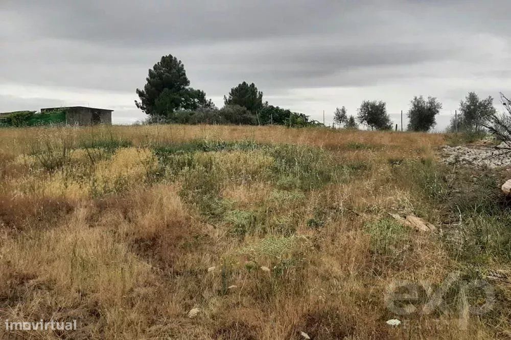 1800m² Land in Mirandela, Portugal No. 214418
