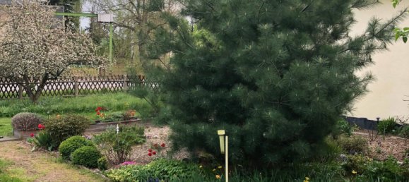 8غرفة مزرعة في Mittelsachsen, Germany رقم 169146 5