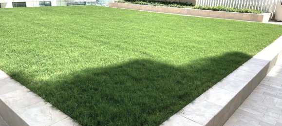 2 bedrooms Apartment in Dubai Harbour, UAE No. 12201 25