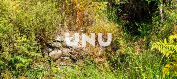 Grundstück in Barroca, Portugal, Nr. 76940 3