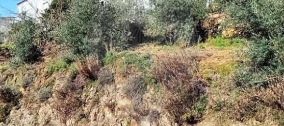 1 bedroom House in Alvaro, Portugal No. 179495 3